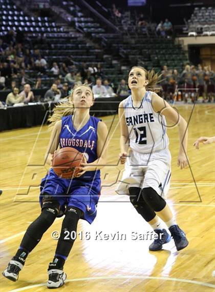 Thumbnail 3 in Sangre de Cristo vs. Briggsdale (CHSAA 1A Semifinal) photogallery.