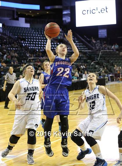 Thumbnail 1 in Sangre de Cristo vs. Briggsdale (CHSAA 1A Semifinal) photogallery.