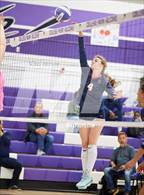 Photo from the gallery "Campolindo @ College Park"