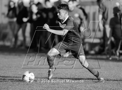 Thumbnail 1 in Sylmar @ Birmingham (CIF LA City Section D1 Playoff) photogallery.
