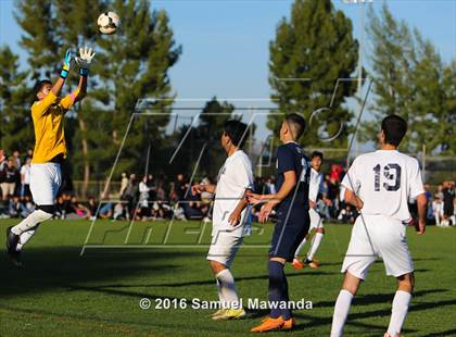 Thumbnail 2 in Sylmar @ Birmingham (CIF LA City Section D1 Playoff) photogallery.