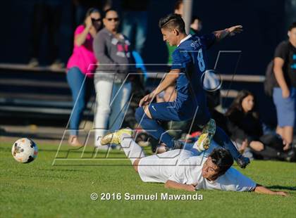 Thumbnail 1 in Sylmar @ Birmingham (CIF LA City Section D1 Playoff) photogallery.