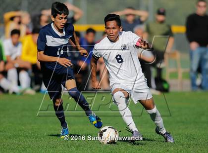 Thumbnail 2 in Sylmar @ Birmingham (CIF LA City Section D1 Playoff) photogallery.