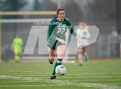Thumbnail 3 in Skyline vs Woodinville (WIAA 4A Final) photogallery.