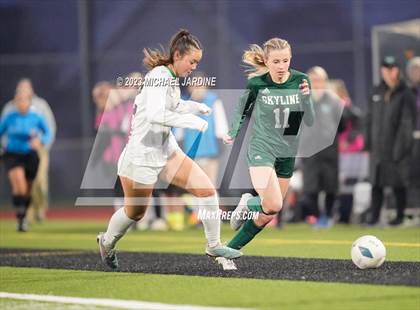 Thumbnail 1 in Skyline vs Woodinville (WIAA 4A Final) photogallery.