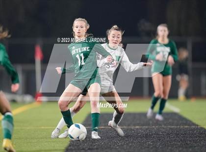 Thumbnail 1 in Skyline vs Woodinville (WIAA 4A Final) photogallery.