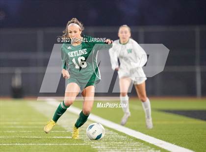 Thumbnail 1 in Skyline vs Woodinville (WIAA 4A Final) photogallery.