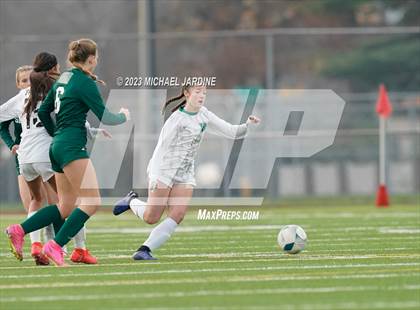 Thumbnail 1 in Skyline vs Woodinville (WIAA 4A Final) photogallery.