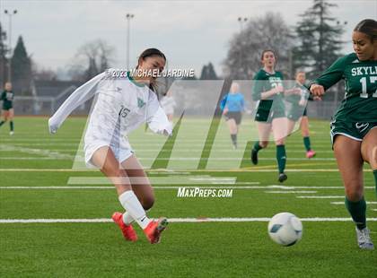 Thumbnail 2 in Skyline vs Woodinville (WIAA 4A Final) photogallery.