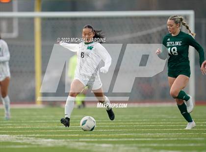 Thumbnail 1 in Skyline vs Woodinville (WIAA 4A Final) photogallery.