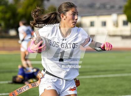 Thumbnail 2 in Los Gatos @ Milpitas photogallery.