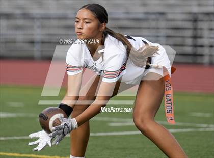 Thumbnail 1 in Los Gatos @ Milpitas photogallery.