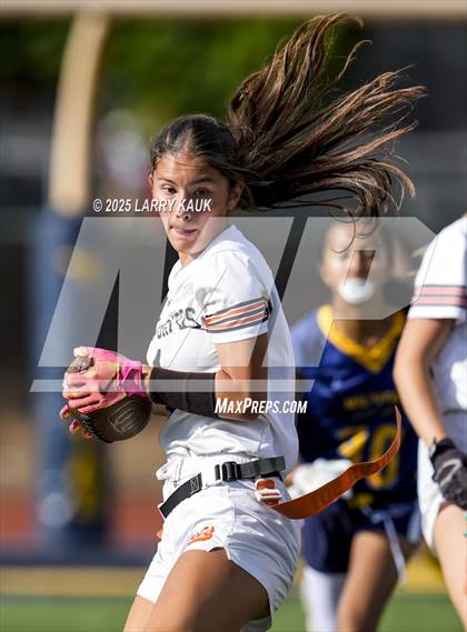 Thumbnail 2 in Los Gatos @ Milpitas photogallery.