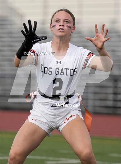 Thumbnail 2 in Los Gatos @ Milpitas photogallery.