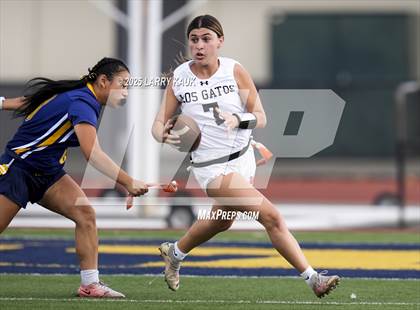 Thumbnail 1 in Los Gatos @ Milpitas photogallery.