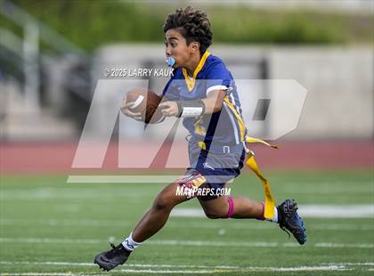 Thumbnail 1 in Los Gatos @ Milpitas photogallery.