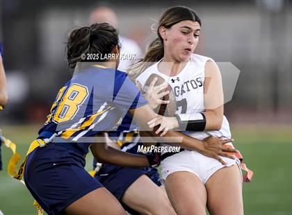 Thumbnail 2 in Los Gatos @ Milpitas photogallery.