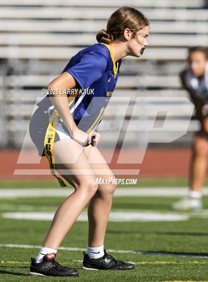 Thumbnail 1 in Los Gatos @ Milpitas photogallery.