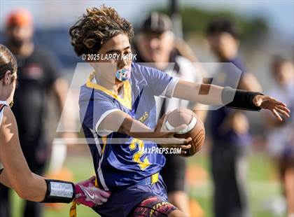 Thumbnail 2 in Los Gatos @ Milpitas photogallery.