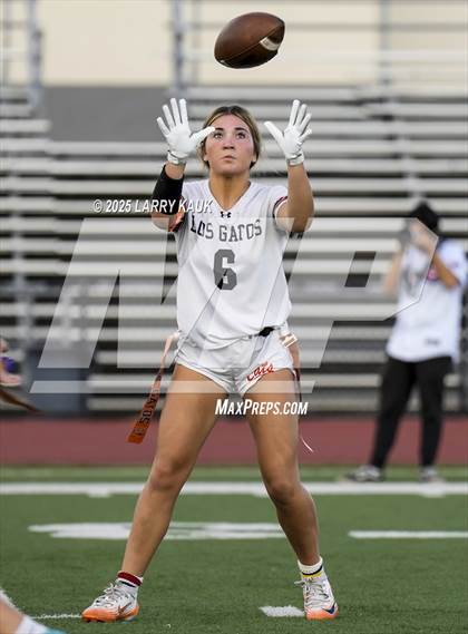 Thumbnail 1 in Los Gatos @ Milpitas photogallery.
