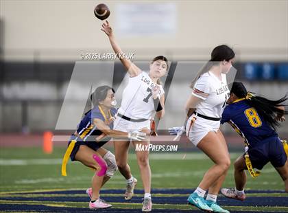 Thumbnail 1 in Los Gatos @ Milpitas photogallery.