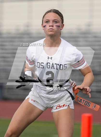 Thumbnail 1 in Los Gatos @ Milpitas photogallery.