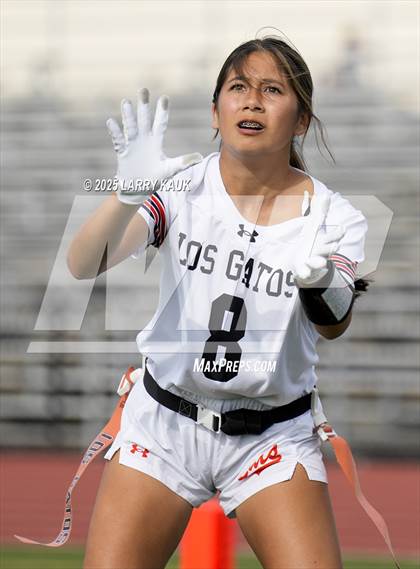 Thumbnail 2 in Los Gatos @ Milpitas photogallery.