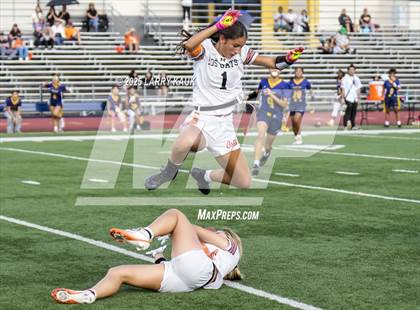 Thumbnail 3 in Los Gatos @ Milpitas photogallery.