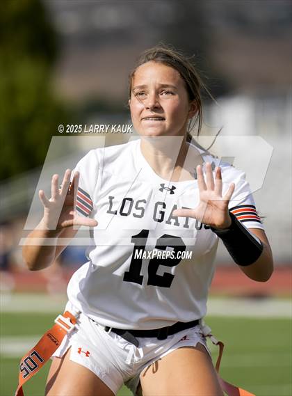 Thumbnail 1 in Los Gatos @ Milpitas photogallery.