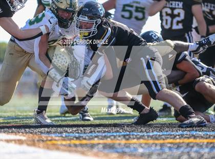 Thumbnail 3 in Longwood @ Sachem North photogallery.