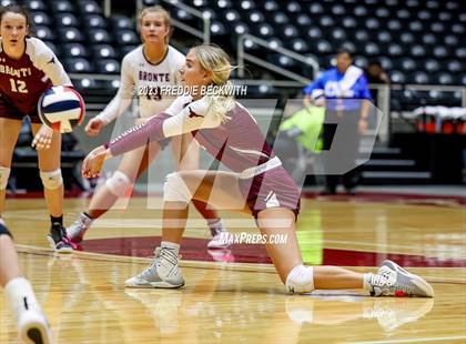 Thumbnail 3 in Harrold vs. Bronte (UIL 1A Volleyball Semi-Final) photogallery.
