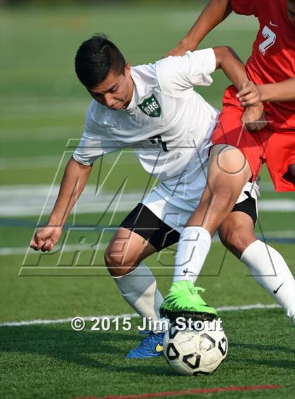 Thumbnail 2 in Somers @ Brewster photogallery.