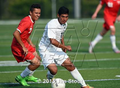 Thumbnail 3 in Somers @ Brewster photogallery.