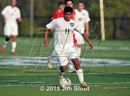 Thumbnail 1 in Somers @ Brewster photogallery.