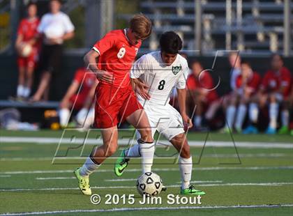 Thumbnail 1 in Somers @ Brewster photogallery.
