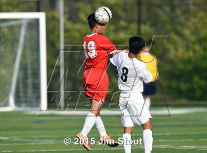 Thumbnail 3 in Somers @ Brewster photogallery.