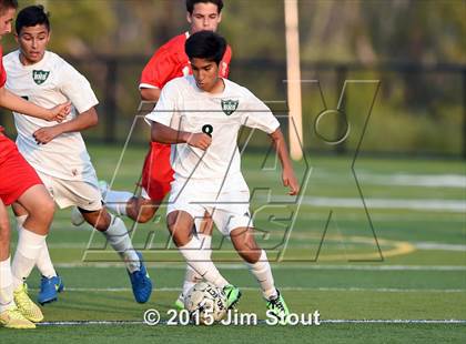Thumbnail 3 in Somers @ Brewster photogallery.