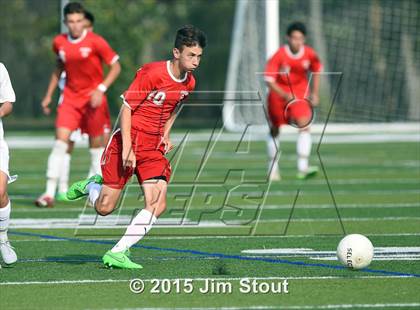Thumbnail 3 in Somers @ Brewster photogallery.