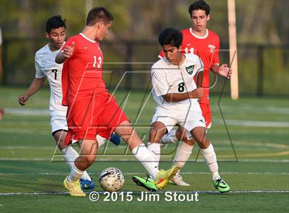 Thumbnail 1 in Somers @ Brewster photogallery.
