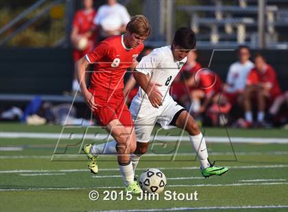 Thumbnail 3 in Somers @ Brewster photogallery.