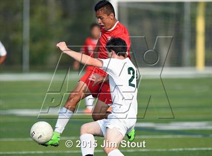 Thumbnail 3 in Somers @ Brewster photogallery.