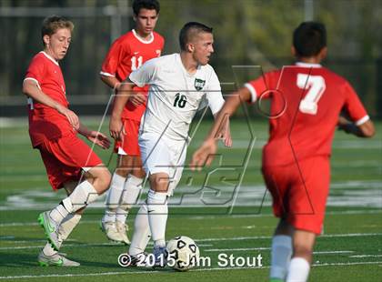 Thumbnail 1 in Somers @ Brewster photogallery.
