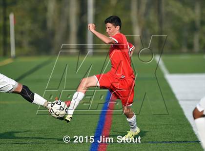 Thumbnail 1 in Somers @ Brewster photogallery.