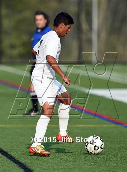 Thumbnail 3 in Somers @ Brewster photogallery.