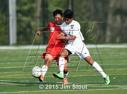 Thumbnail 1 in Somers @ Brewster photogallery.