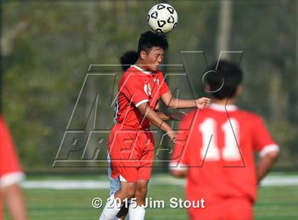 Thumbnail 3 in Somers @ Brewster photogallery.