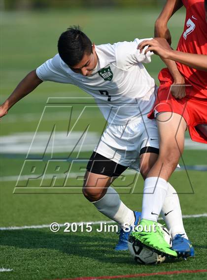 Thumbnail 3 in Somers @ Brewster photogallery.