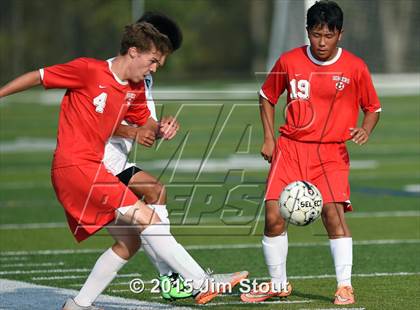 Thumbnail 1 in Somers @ Brewster photogallery.