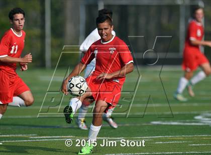 Thumbnail 3 in Somers @ Brewster photogallery.