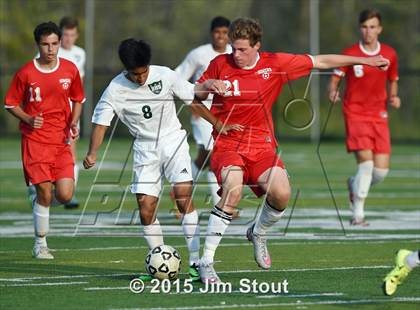 Thumbnail 1 in Somers @ Brewster photogallery.